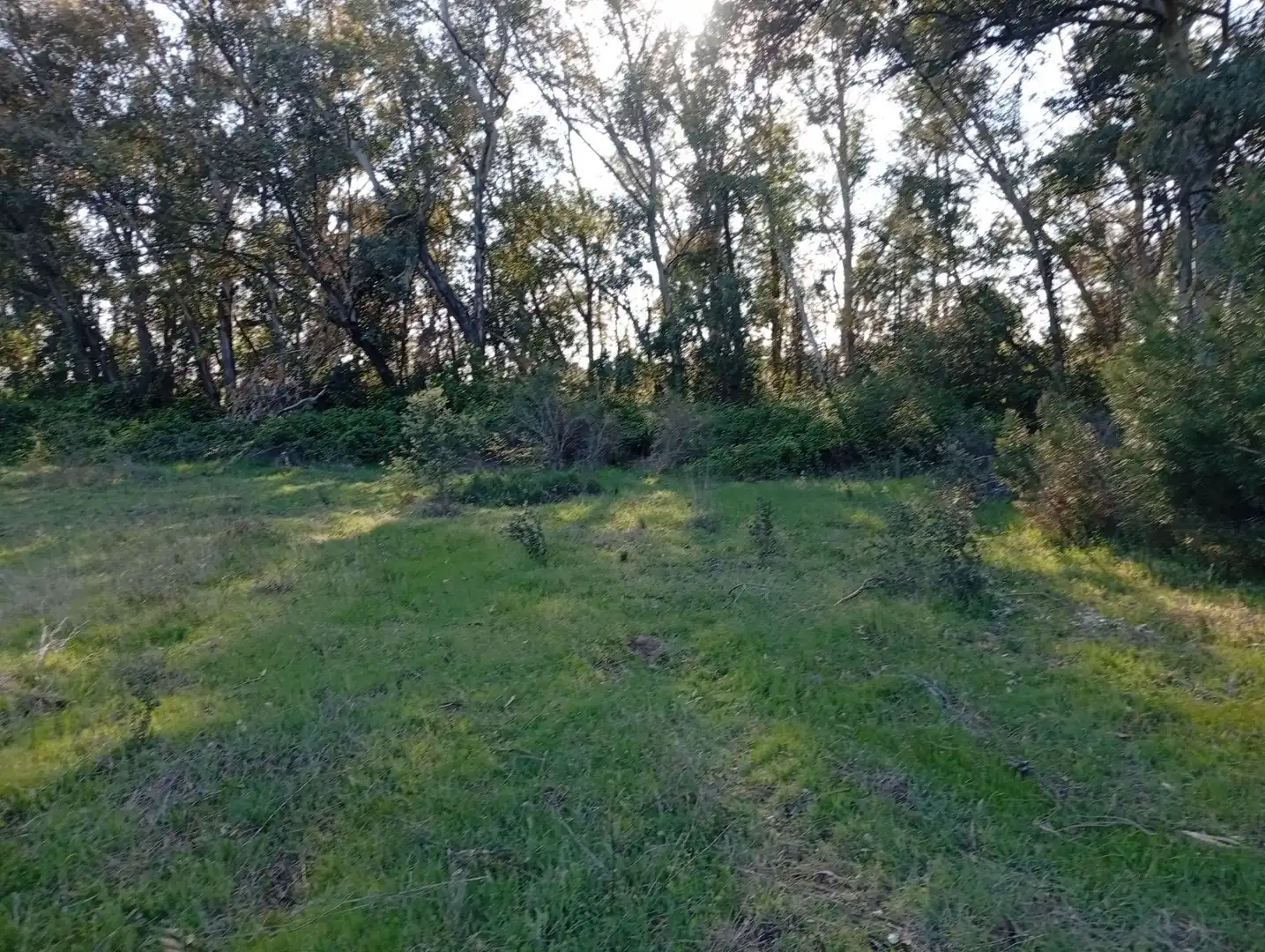 Terreni e lotti in vendita a Villanueva de la Vera, imagen 127