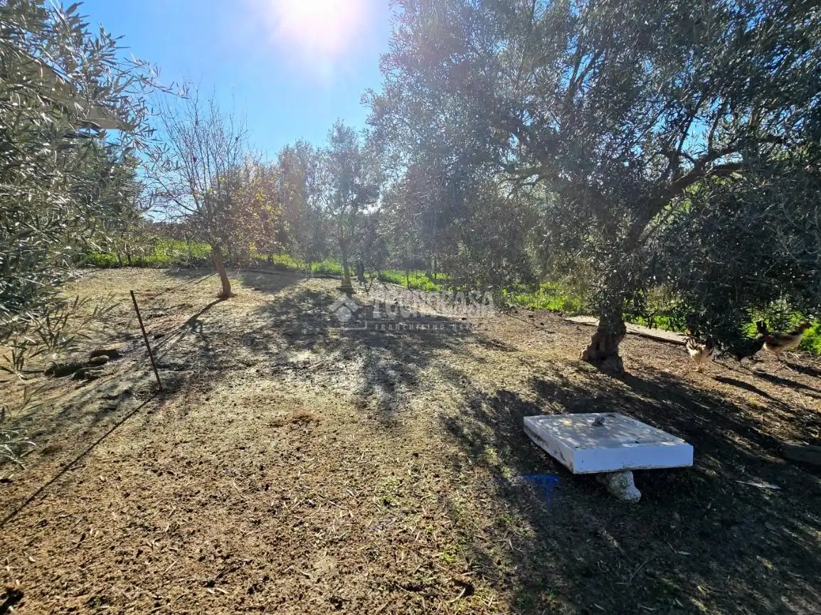 Terreno rustico in vendita a El Coronil, imagen 2