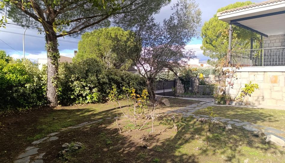 Foto 1 de Casa o xalet de lloguer a El Molar (Madrid), Madrid