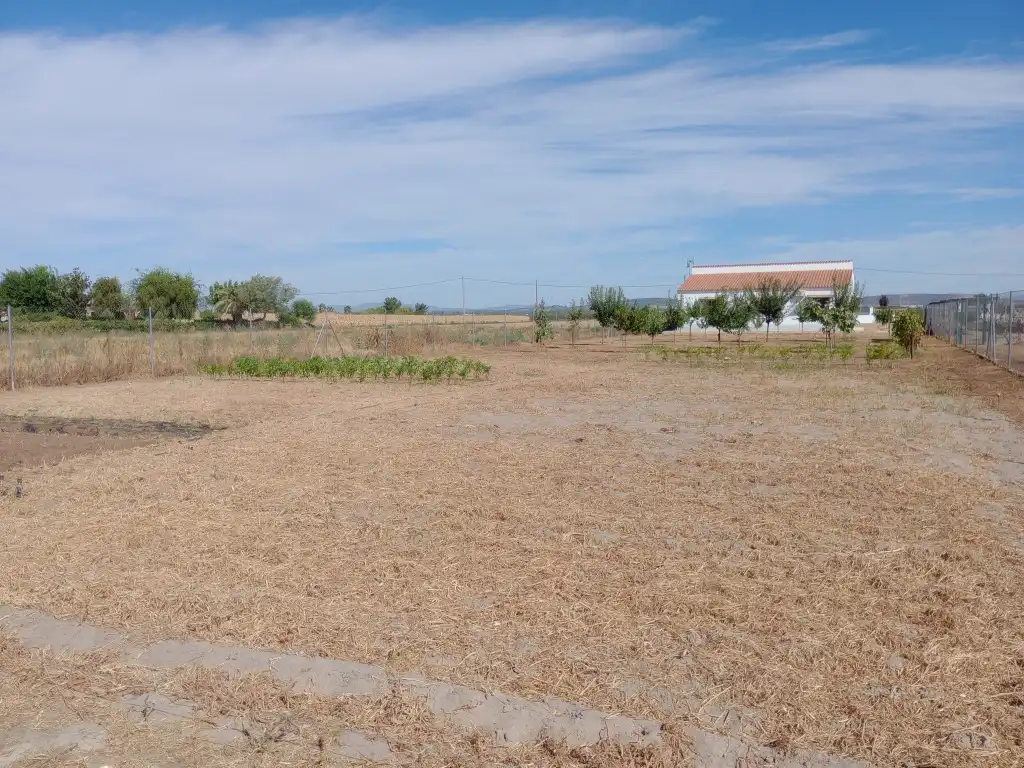 Xalet amb piscina en venda a Don Benito, imagen 19
