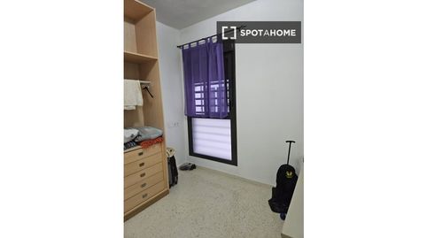 Foto 4 de Piso de alquiler en La Calzada - La Florida, Sevilla Capital