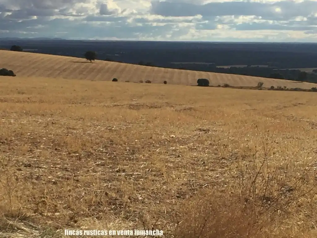 Terreni e lotti in vendita a Munera, imagen 10
