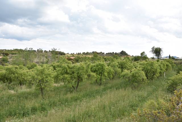 Terreno en Venta en Monroyo