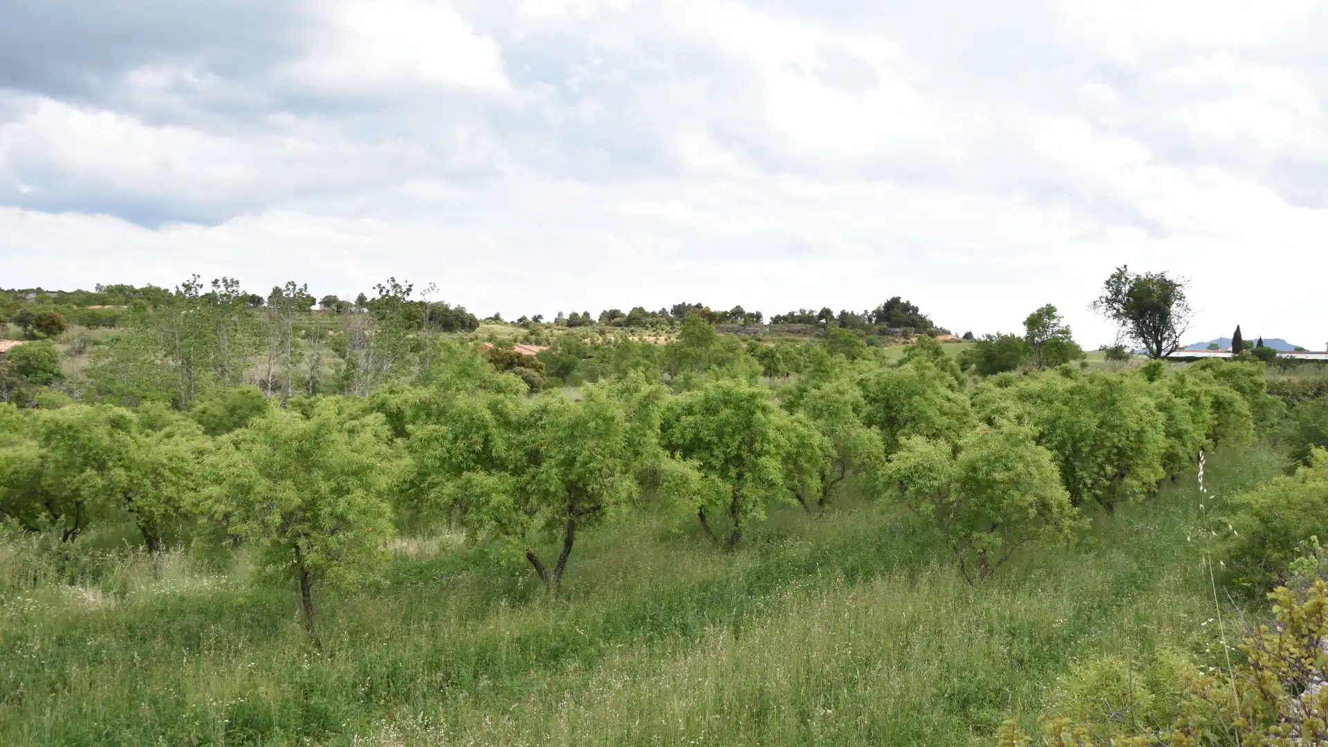 Terreno en venta en Monroyo