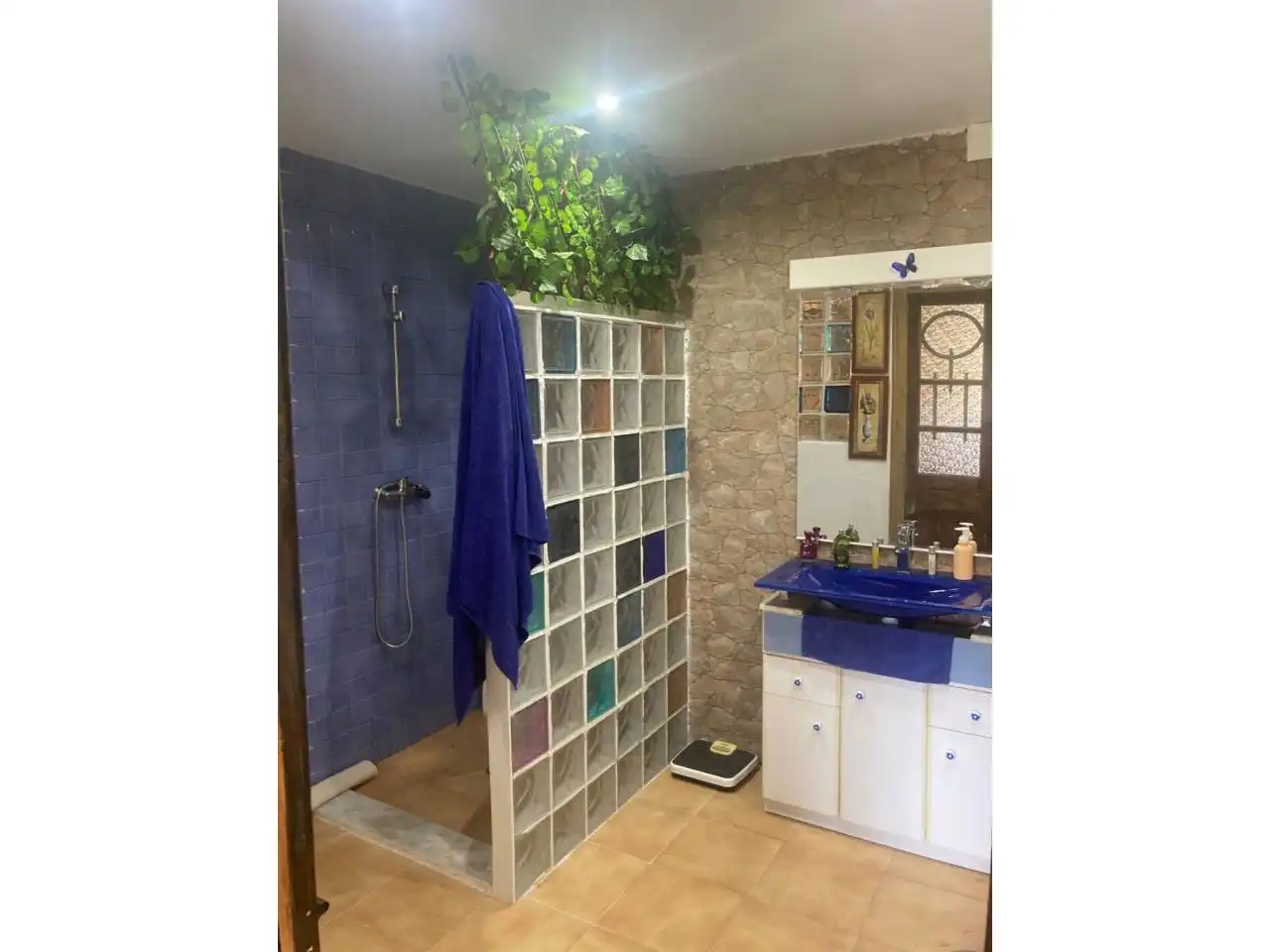 Casa rústica amb jardí en venda a Riego de la Vega, imagen 32