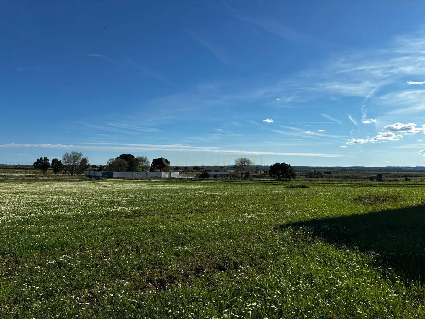 Grundstücke zum Verkauf in Moraleja