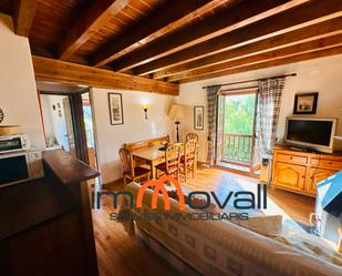 Living room of Flat for sale in La Vall de Boí