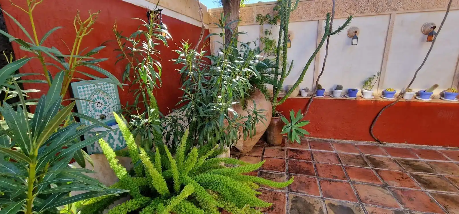 Garden of Detached homes for rent in Sant Joan d'Alacant  with Air Conditioner, Heating and Private garden