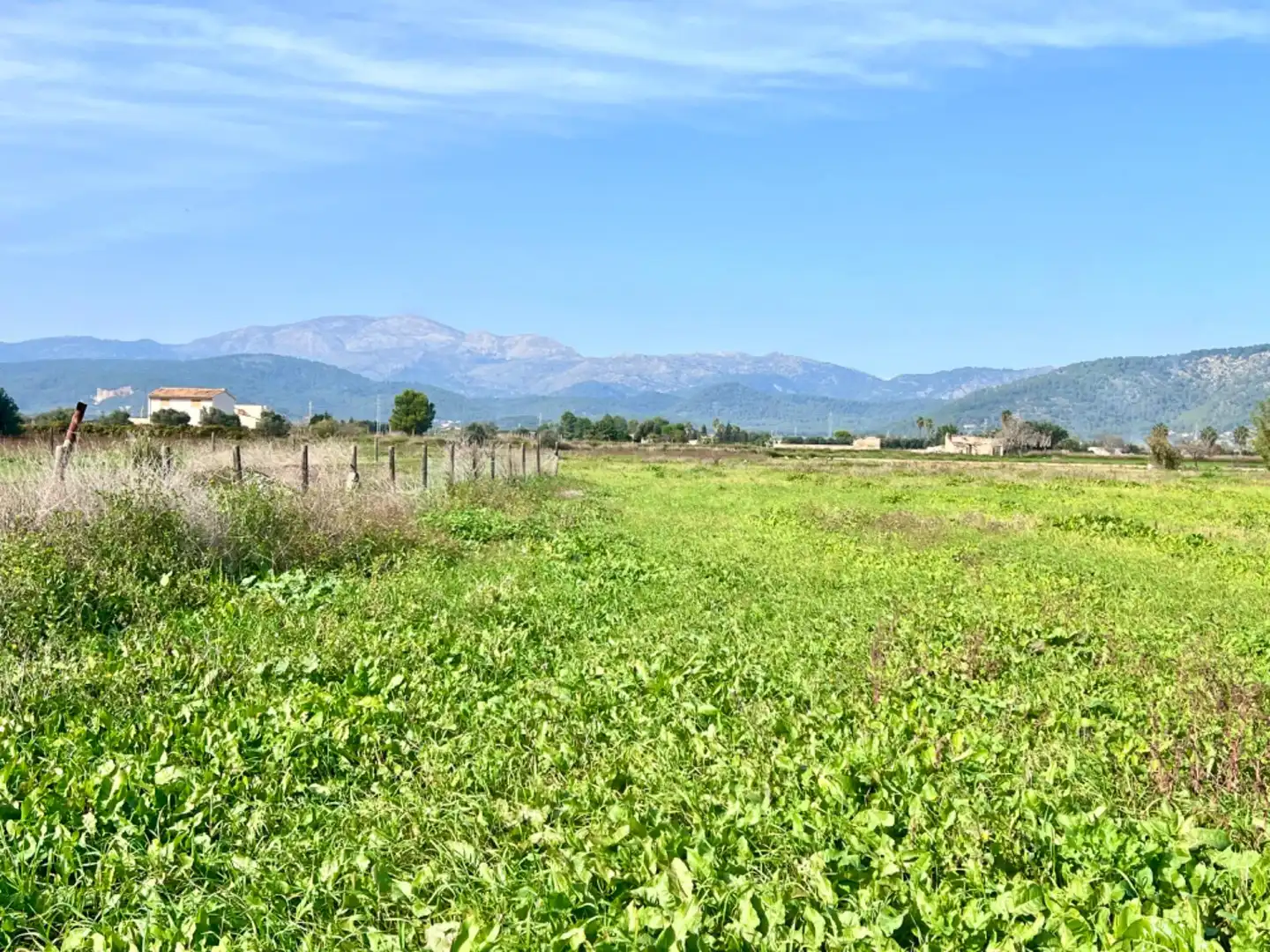 Finca rústica en venta en Sa Pobla