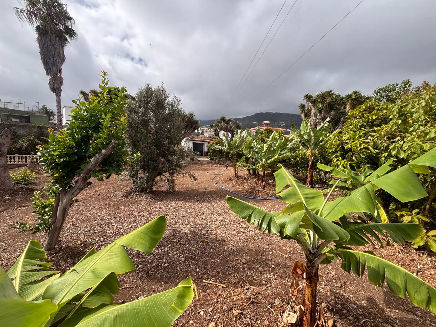 Casa o xalet en venda en Icod de los Vinos amb Jardí privat, Terrassa i Traster