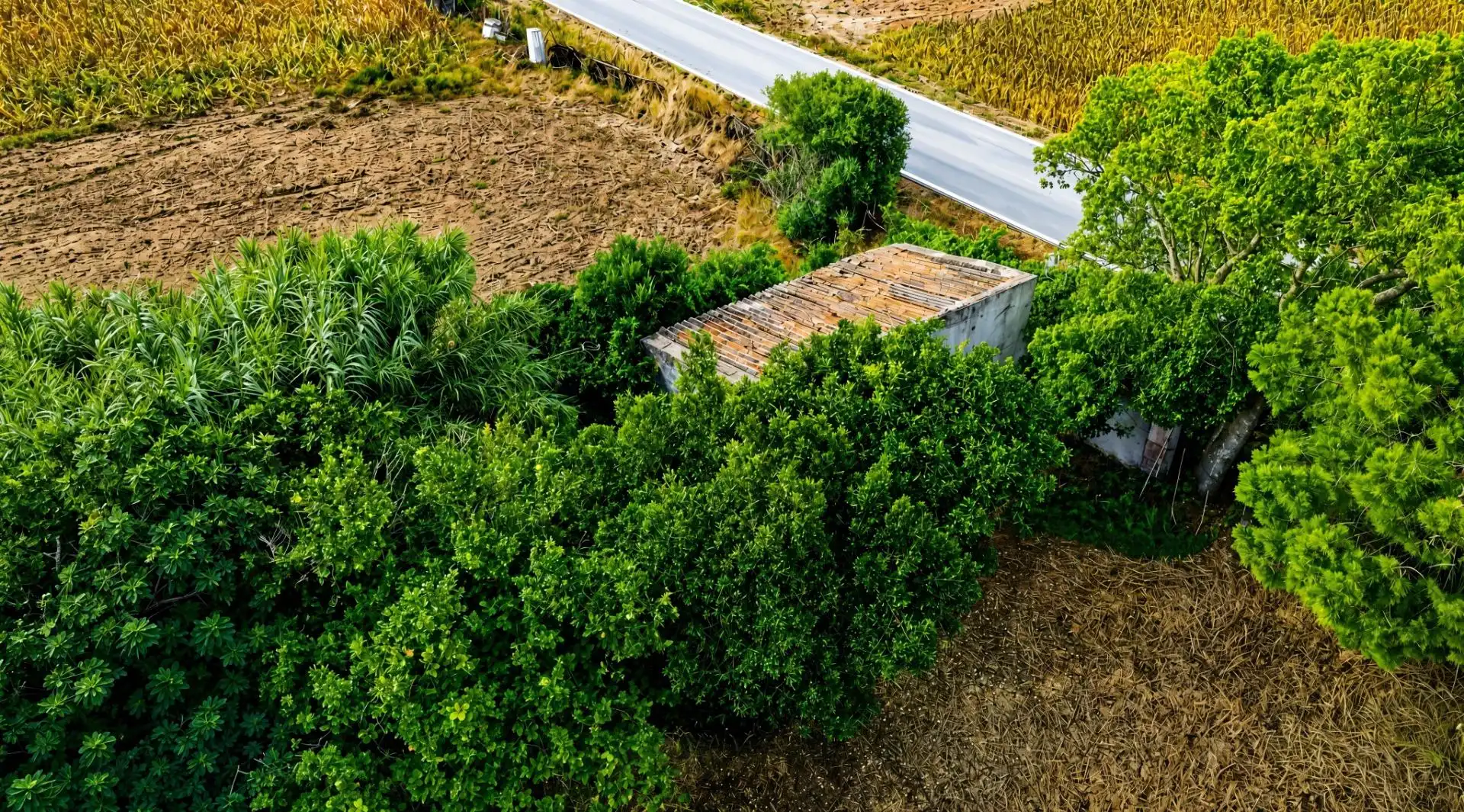 Rural land for sale in Pelagatos - Pago del Humo, imagen 6