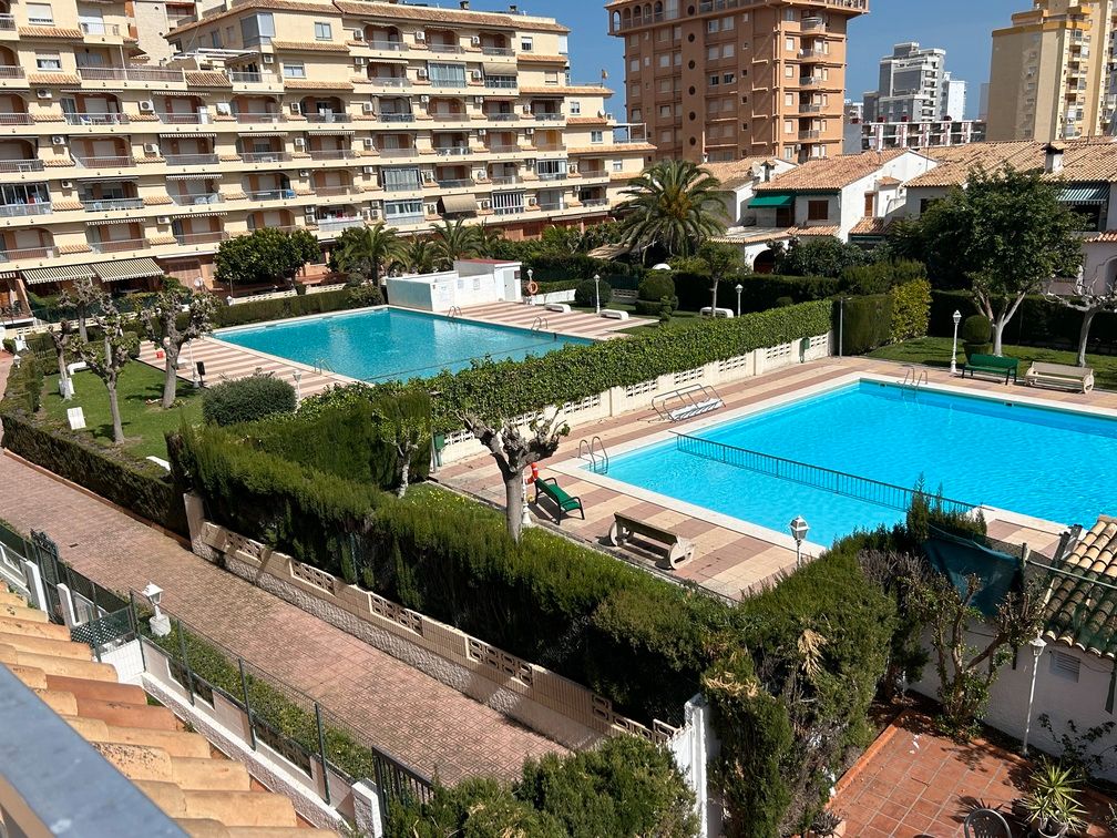 Swimming pool of Duplex to rent in Gandia  with Air Conditioner, Terrace and Furnished
