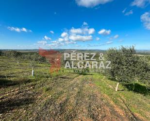 Grundstücke zum verkauf in Palma del Río