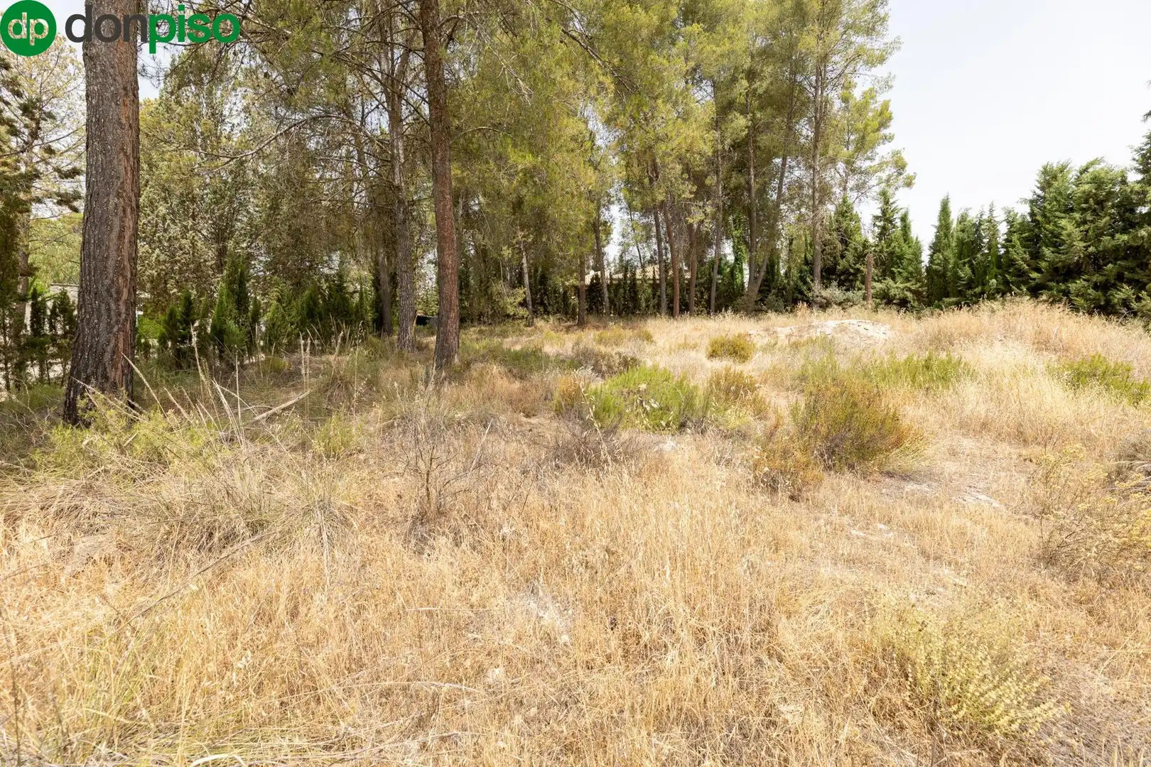 Terrenos y solares en venta en Calle de los Poetas Populares 1, imagen 19