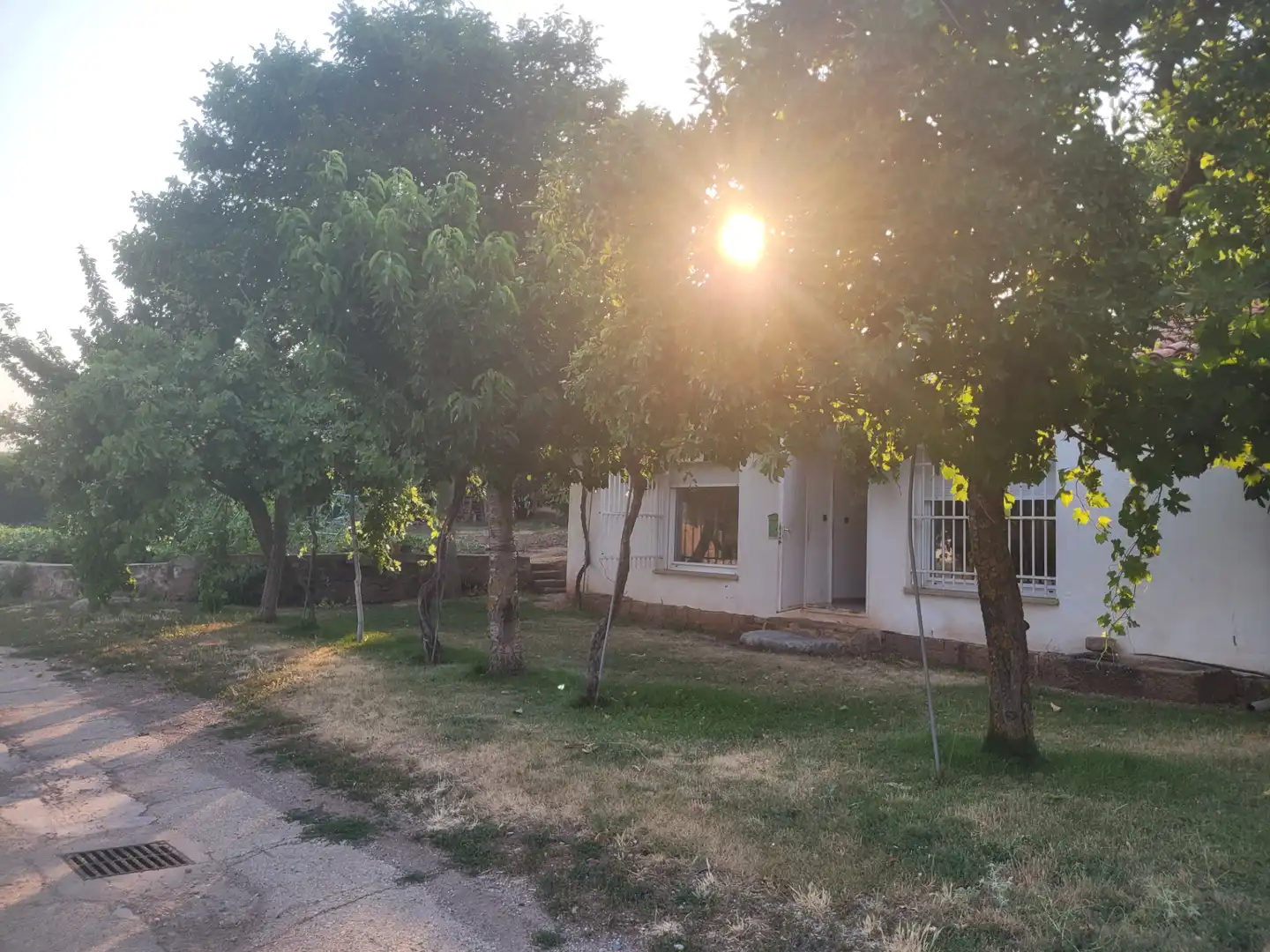Jardín de Casa o chalet en venta en Aldealpozo con Jardín privado, Amueblado y Horno