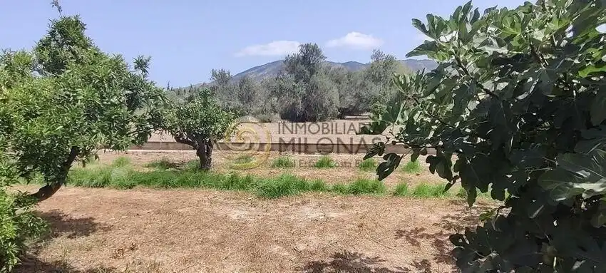Houses for sale in Benidorm  with Private garden, Terrace and Storage room