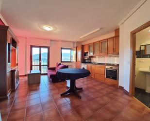 Kitchen of Duplex for sale in Condado de Treviño  with Heating, Parquet flooring and Furnished
