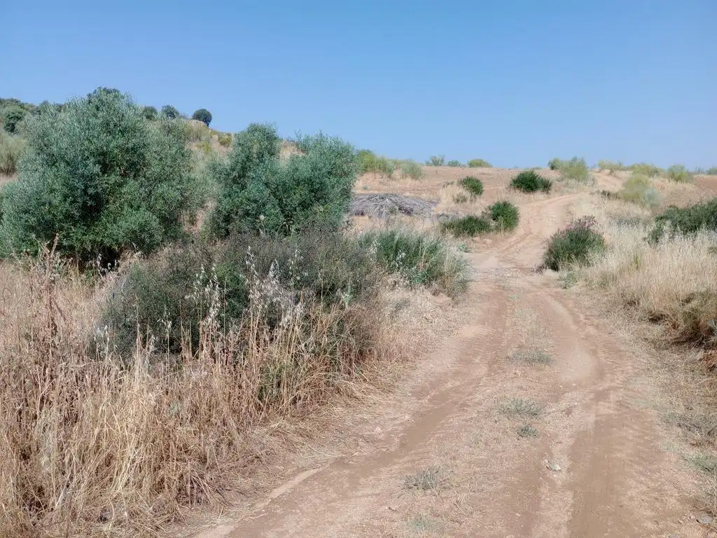 Houses for sale in Valle de la Serena  with Air Conditioner, Terrace and Storage room