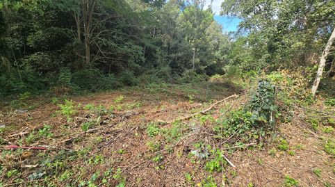 Photo 4 of Residential for sale in Lloret Blau - La Creu de Lloret, Lloret de Mar