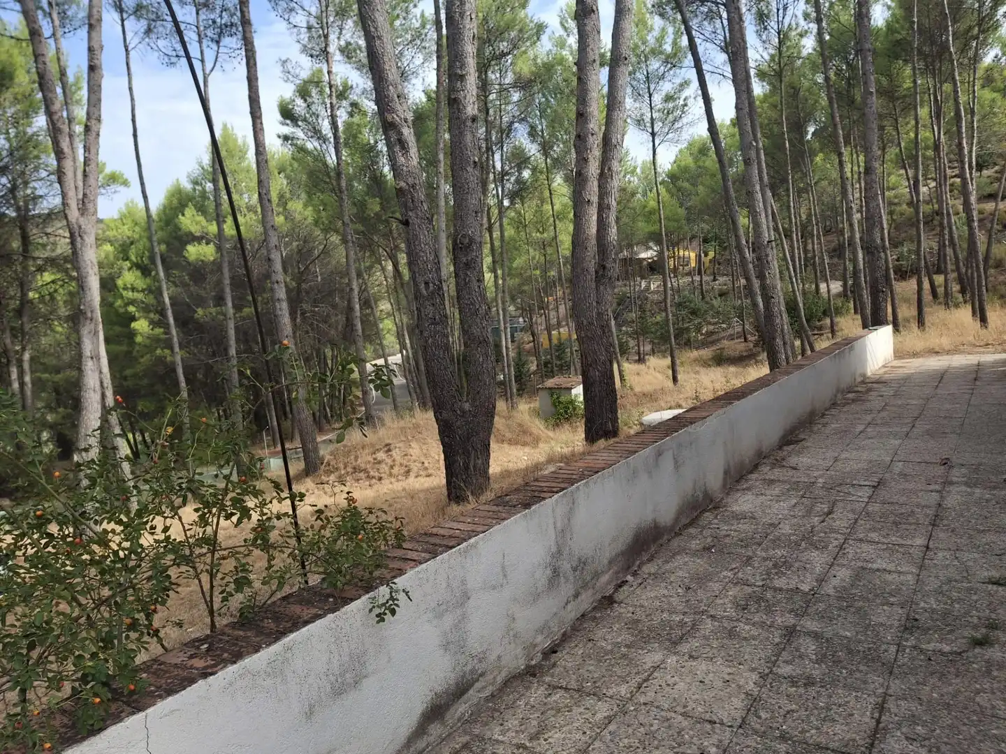 Casa o xalet en venda en Renera