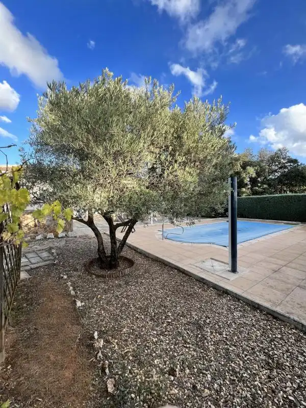 Piscina de Casa o chalet en venta en Nuevo Baztán con Calefacción, Jardín privado y Piscina