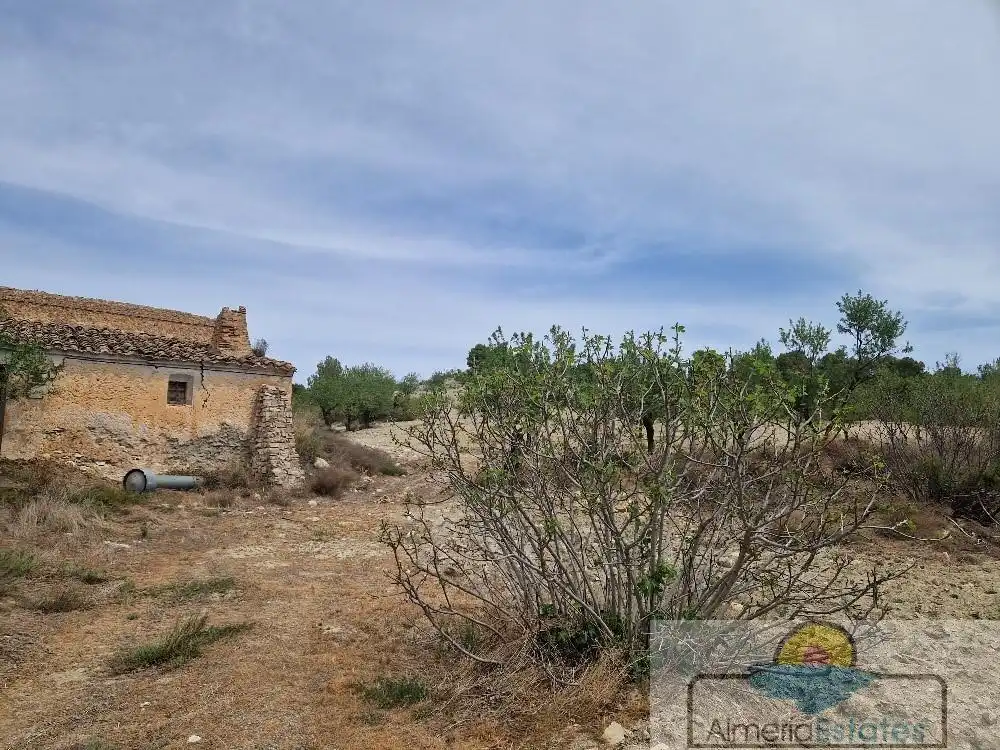 Country house for sale in Albox, imagen 15