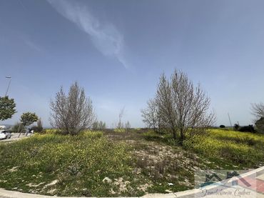 Terrains et parcelles à vendre à Marazuela - El Torreón