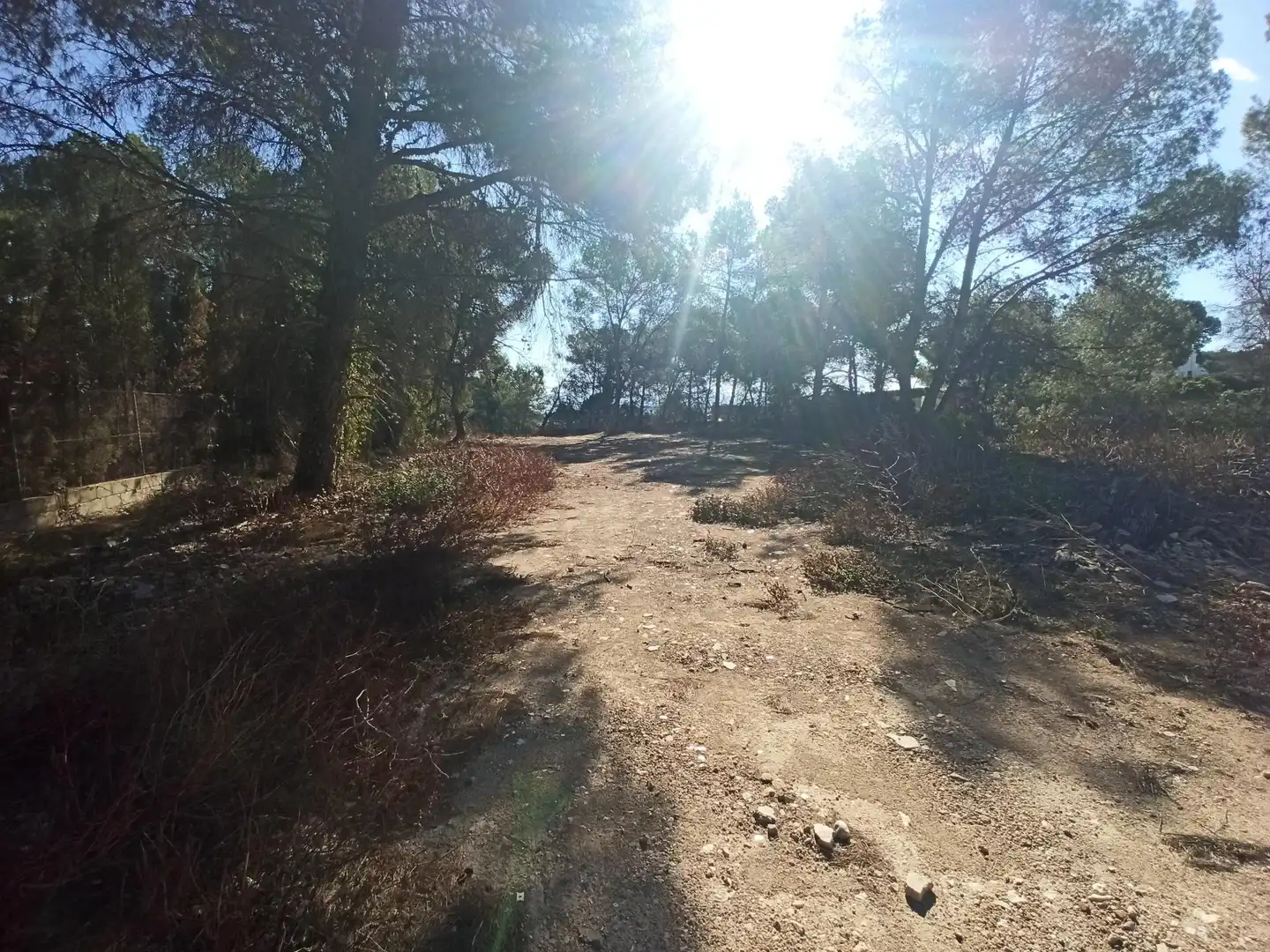 Terreno residencial en venta en Alberic, imagen 2