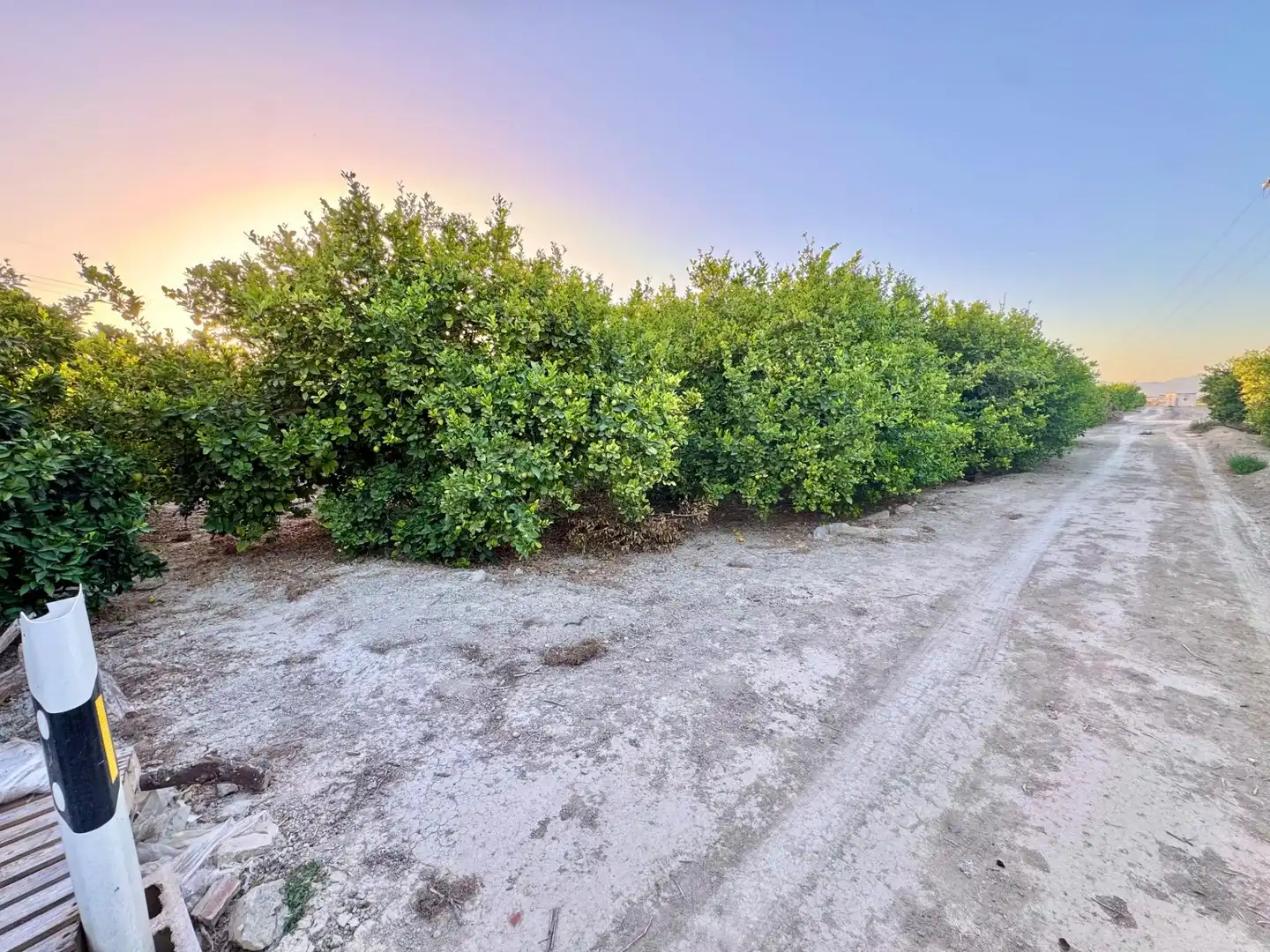 Land for sale in Orihuela