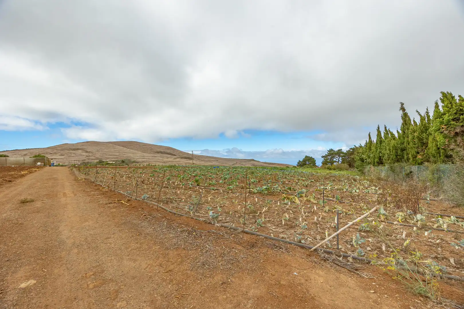 Residencial en venta en Lugar Lomo del Poleo, Saucillo - Fagajesto - Juncalillo