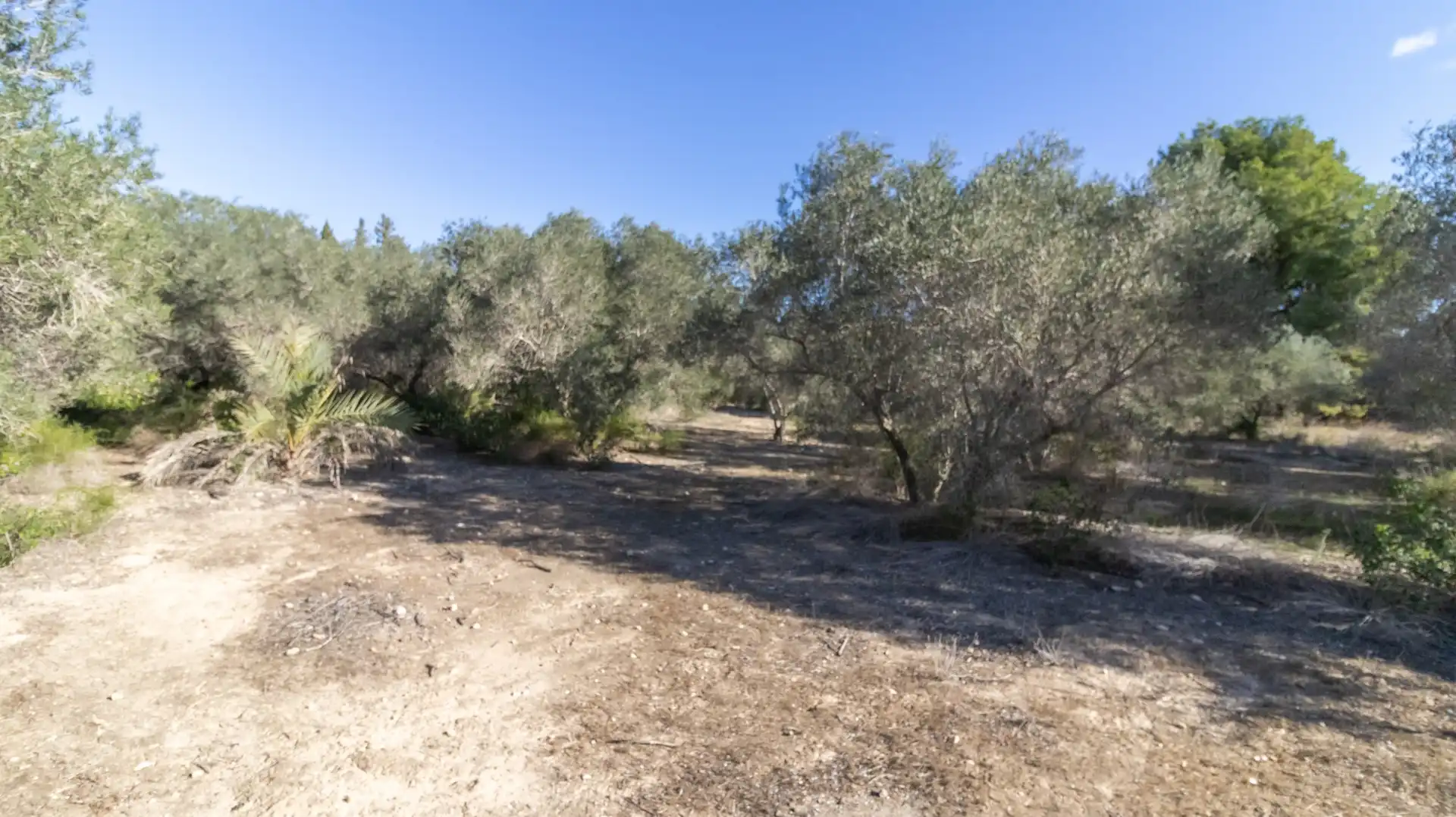 Casa o chalet en venta en Elche / Elx con Trastero y Piscina