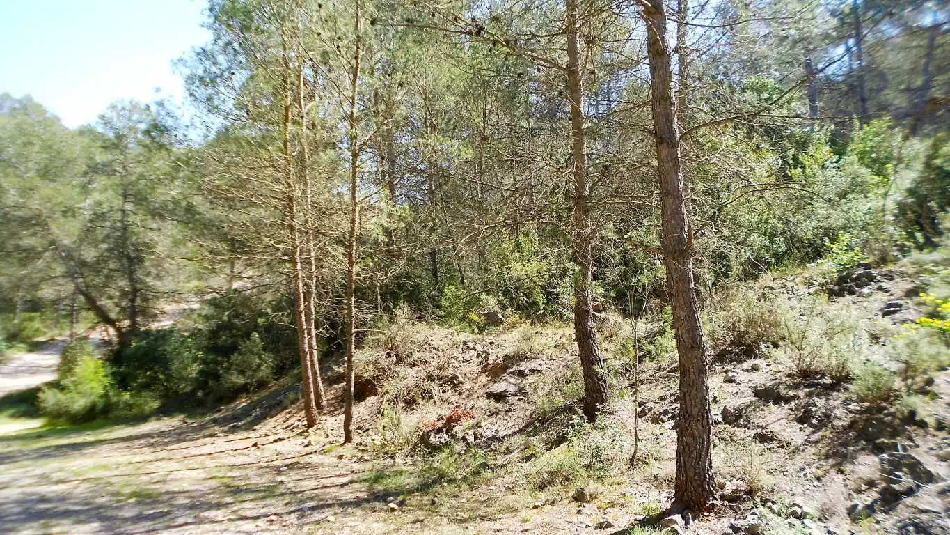 Terreno rústico en venta en Carrer Olesa de Bonesvalls 9, imagen 6