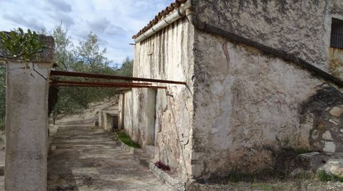 Finca de 94.380 m² en venta en la población de Xerta, plantada de olivos, algarrobos, almendros y zona de pinar, la propiedad está