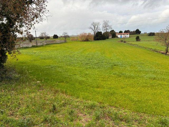 Terreno residencial en Venta en Calle el Hoyo, 0 en Suesa