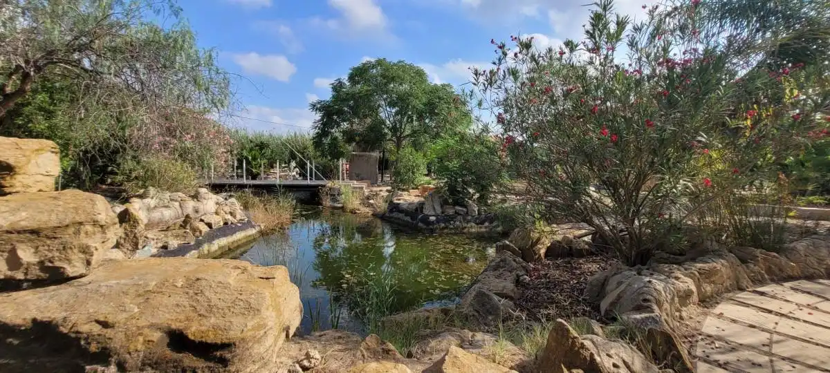 Villa con piscina in vendita a Cam. Arroba de Hornos, imagen 6