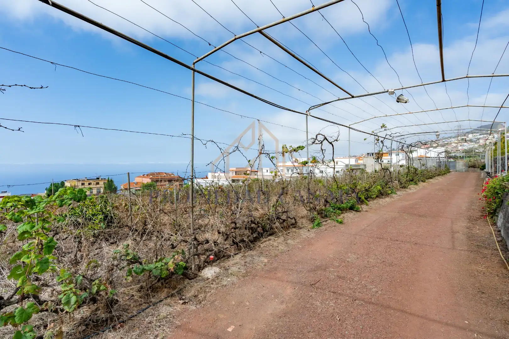 Terreno residencial en venta en Calle Vista Alegre 3, imagen 2