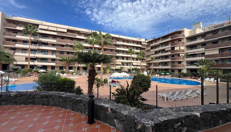 Foto 1 de Apartamento de alquiler en Cl Hondura la 22 Ed Balcon  Gigantessantiago del T, -1, Puerto de Santiago, Santa Cruz de Tenerife