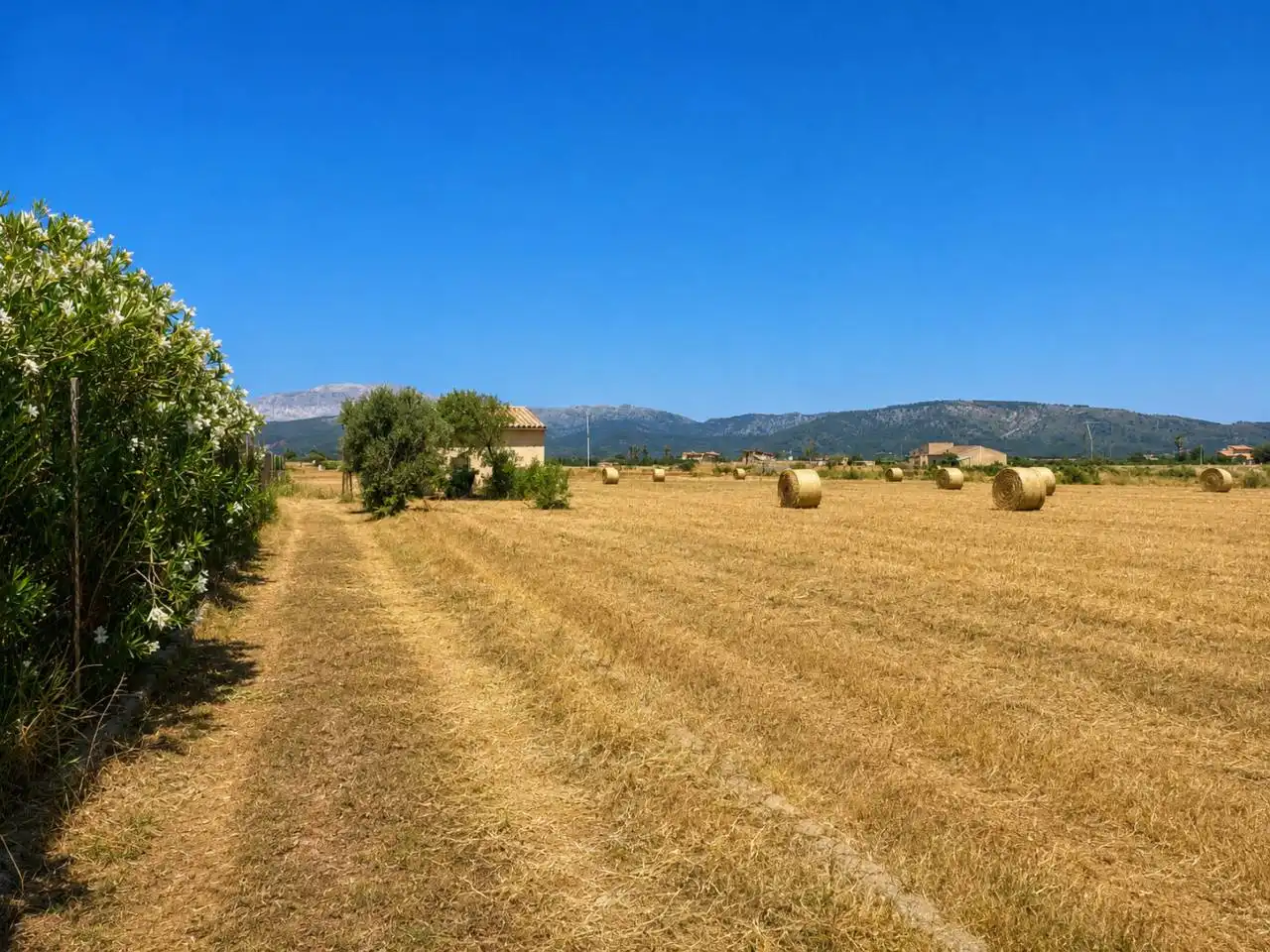 Rustikales Grundstück zum Verkauf in Sa Pobla, imagen 2