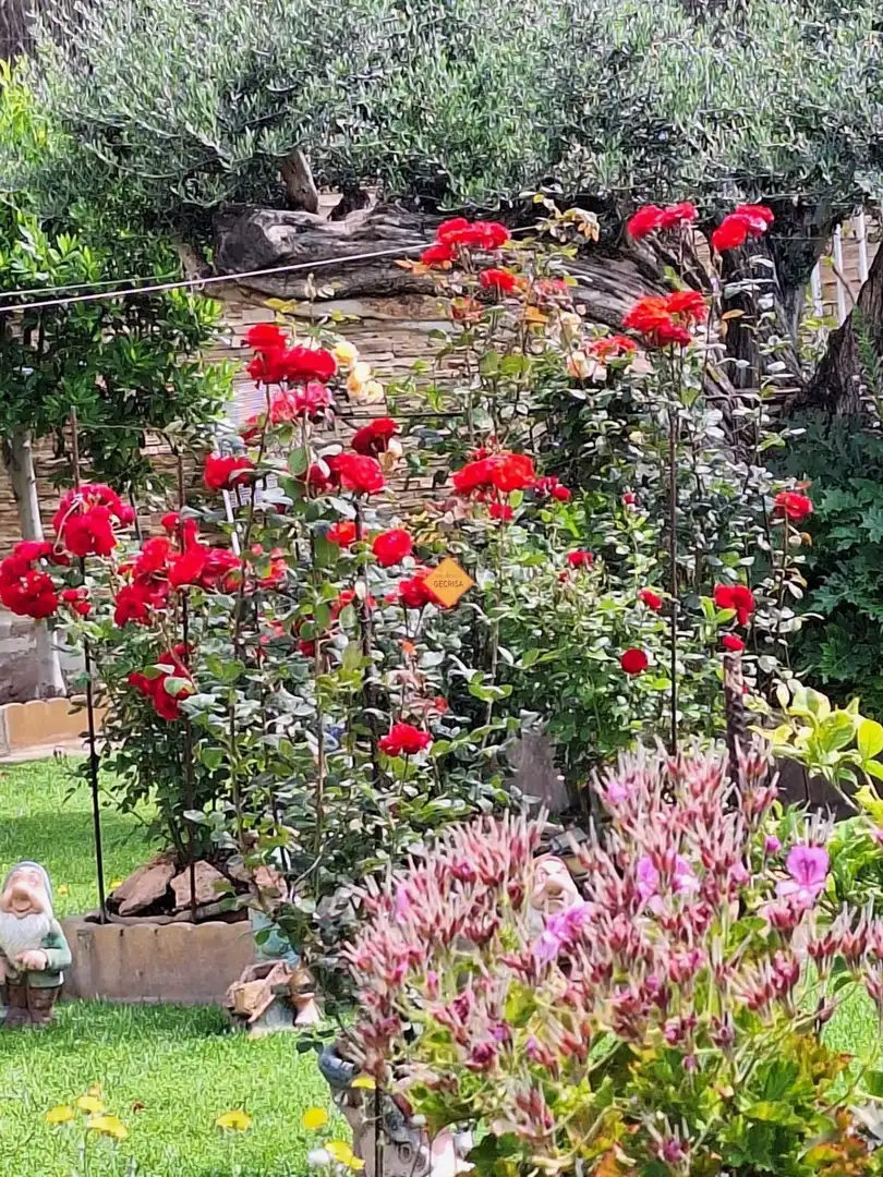 Jardí de Casa o xalet en venda en Paterna amb Aire condicionat, Calefacció i Jardí privat