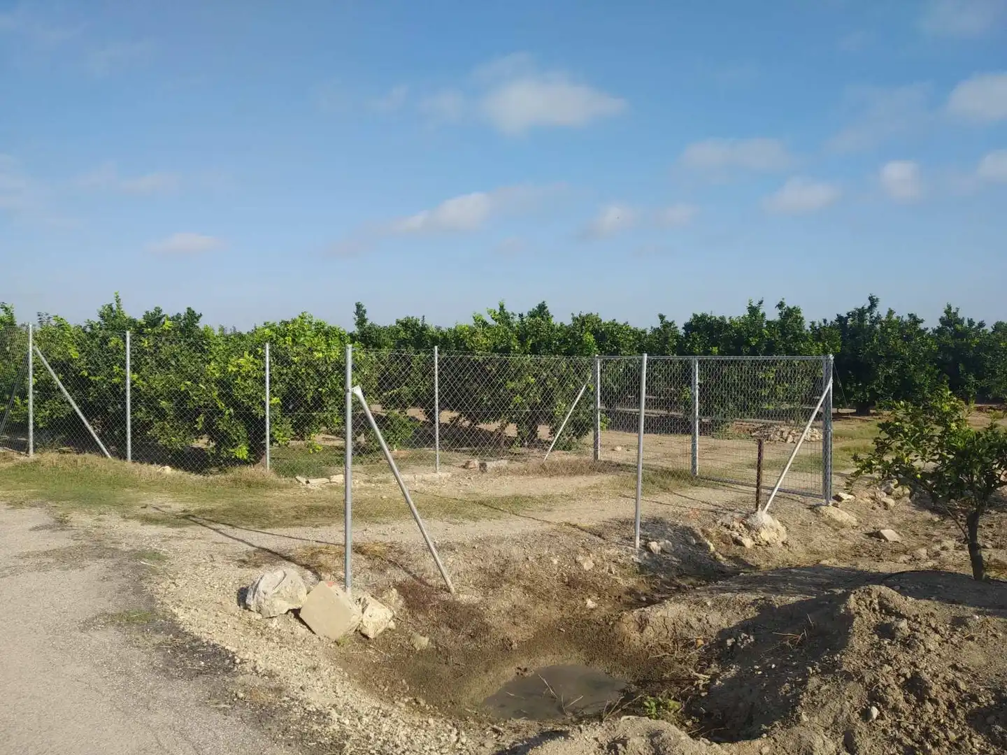 Lands and plots for sale in Favara, imagen 12
