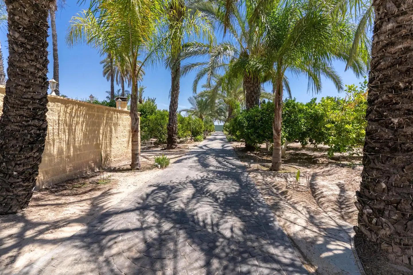 Exterior view of Houses for sale in Elche / Elx  with Air Conditioner, Private garden and Terrace