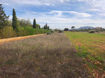 Terreno rustico in vendita a Algaida