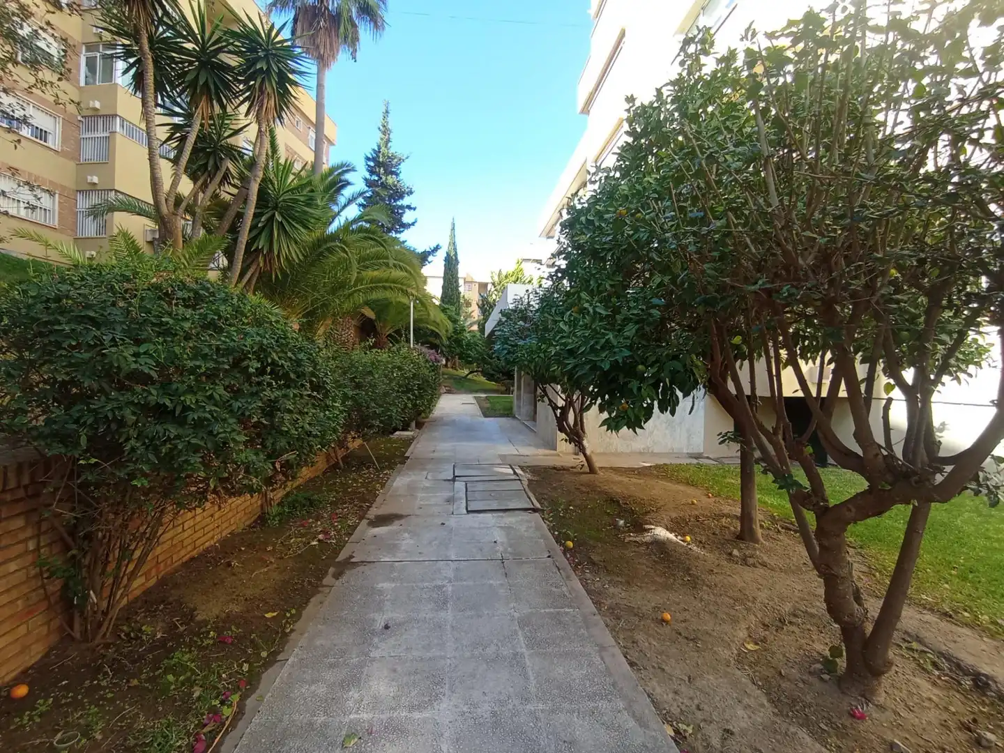 Exterior view of Flat for sale in Málaga  with Terrace