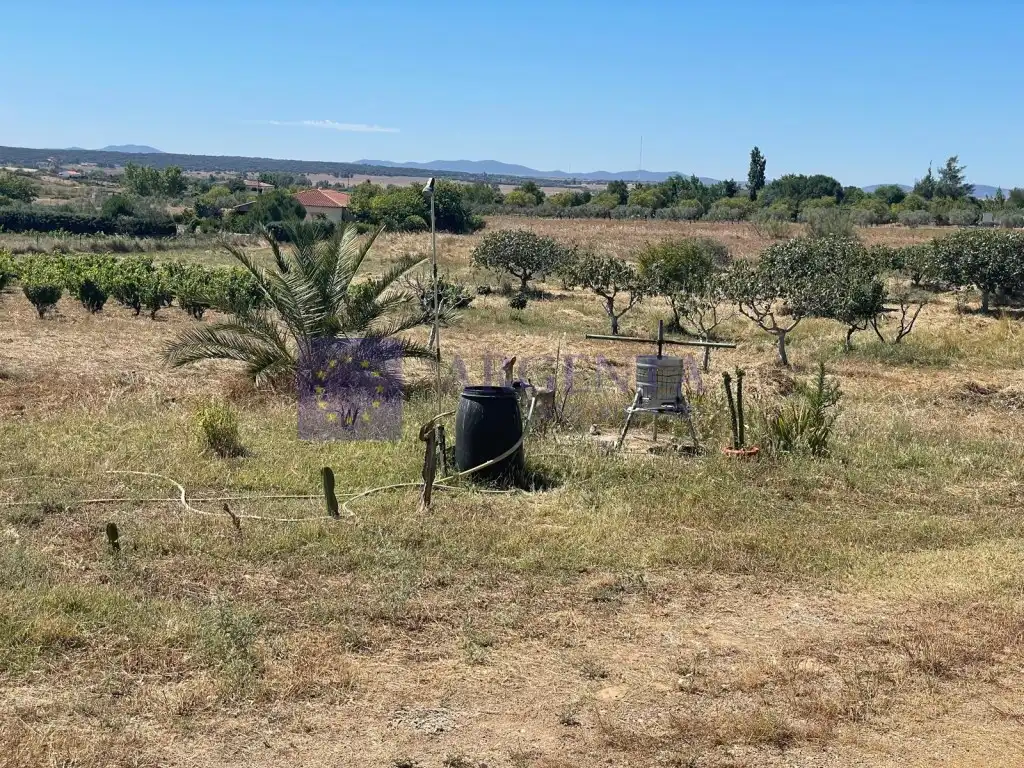 Finca rústica en venda a Finca Villa Amalia, Valdesalor - Rincón de Ballesteros