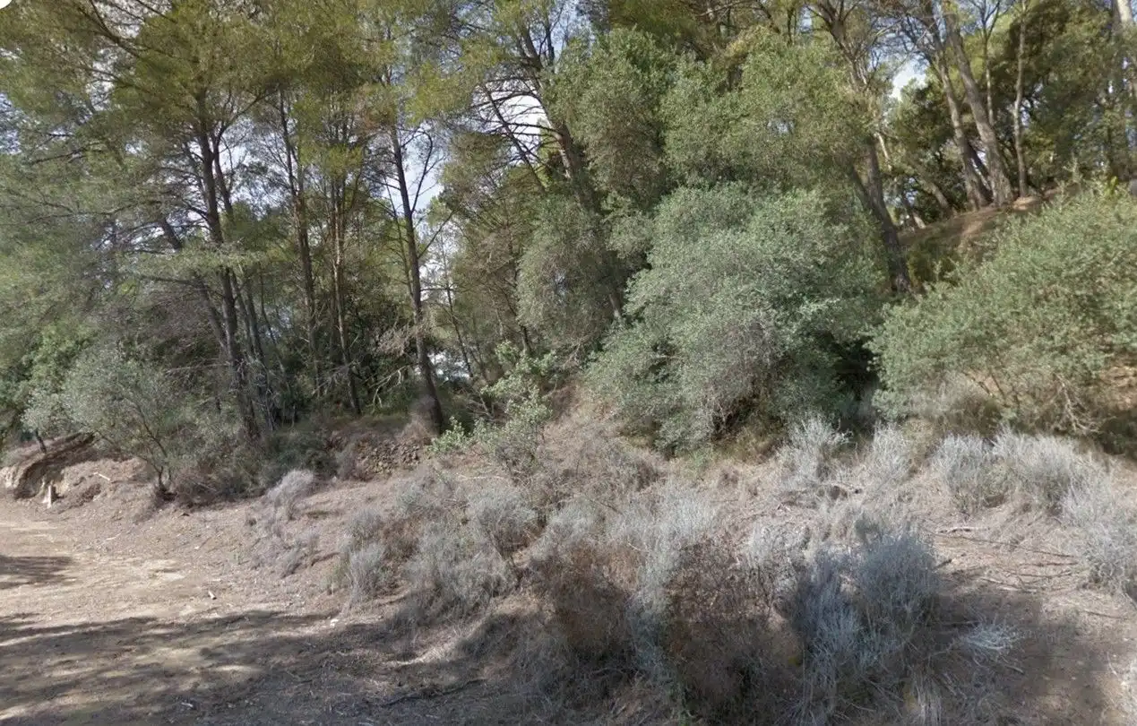 Terreni e lotti in vendita a Riudecanyes, imagen 23