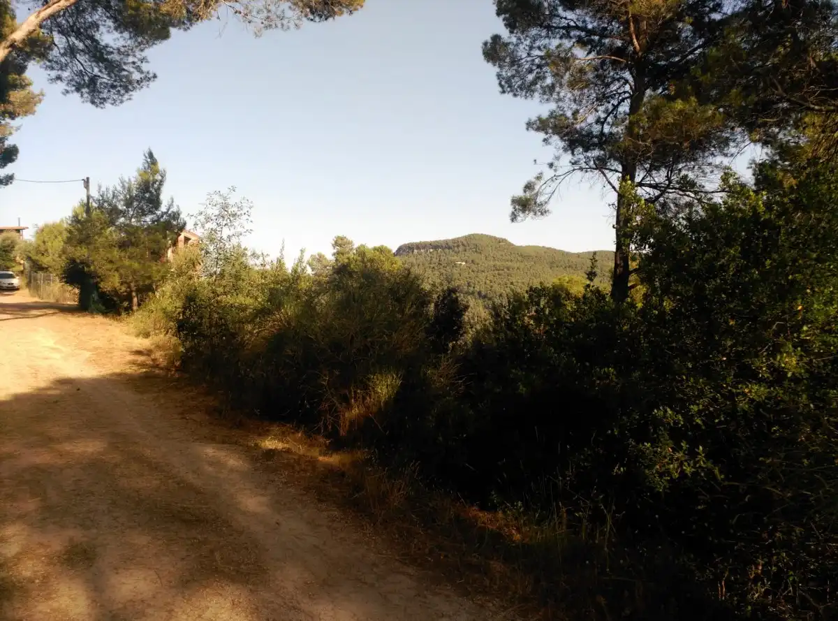 Terreni e lotti in vendita a Corbera de Llobregat, imagen 44