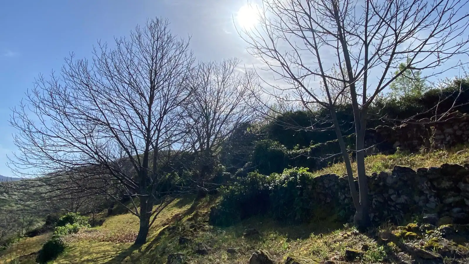 Terreni e lotti in vendita a Casas del Castañar, imagen 17