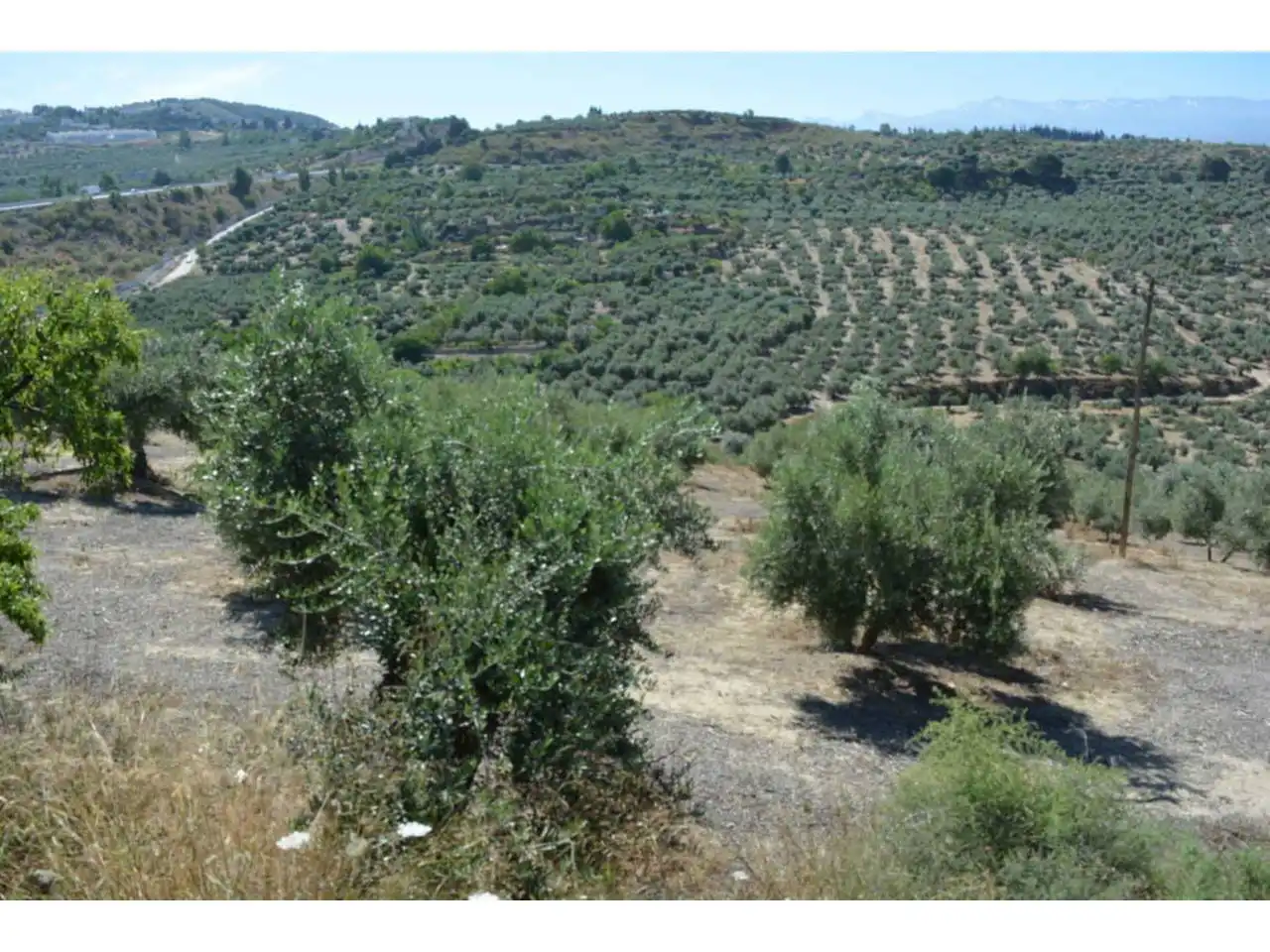 Lands and plots for sale in Plaza Iglesia 1, imagen 9