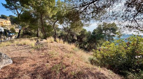 Foto 3 de Residencial en venta en Carrer de la Cala, 6, Santa Cristina - Sant Francesc, Girona