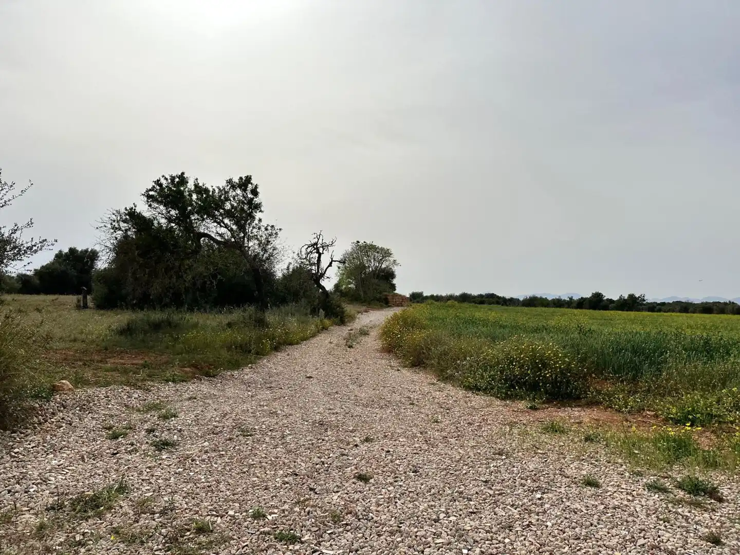 Country homes for sale in Algaida  with Private garden